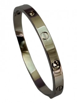 Stainless Steel Bracelets